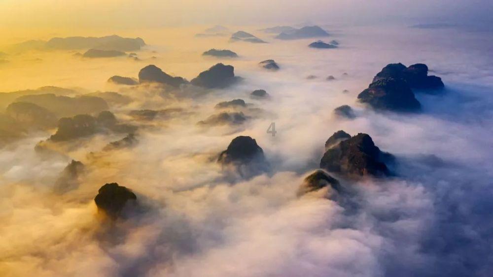 你能逃离此地吗